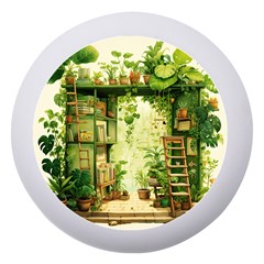 Building Potted Plants Dento Box With Mirror