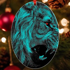 Angry Male Lion Predator Carnivore Uv Print Acrylic Ornament Oval