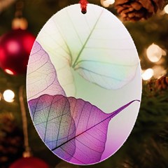 Leaf Desenho Micro Uv Print Acrylic Ornament Oval