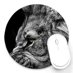Angry Male Lion Roar Wild Animal Round Mousepad