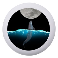 Dolphin Moon Water Dento Box With Mirror