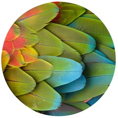 Parrot Feathers Texture Feathers Backgrounds Wooden Bottle Opener (round)