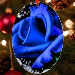 Blue Rose Bloom Blossom Uv Print Acrylic Ornament Oval