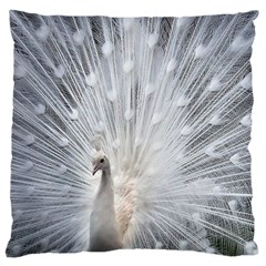 White Feathers, Animal, Bird, Feather, Peacock Large Cushion Case (two Sides)