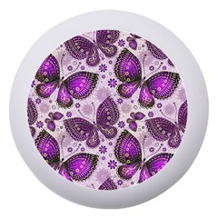 Butterflies Butterfly Insect Nature Dento Box With Mirror