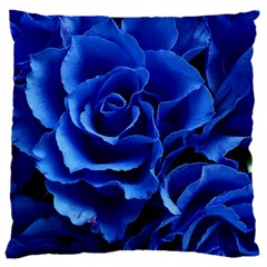 Roses Flowers Plant Romance 16  Baby Flannel Cushion Case (two Sides)