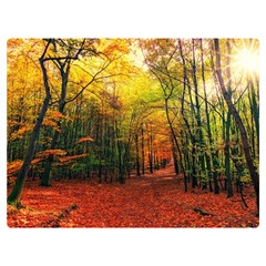Forest Woods Autumn Nature Two Sides Premium Plush Fleece Blanket (baby Size)