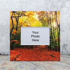 Forest Woods Autumn Nature White Box Photo Frame 4  X 6 