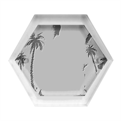 Delicate Watercolor Painting Surreal Oasis Scene With Intense Dramatic Lighting Hexagon Wood Jewelry Box