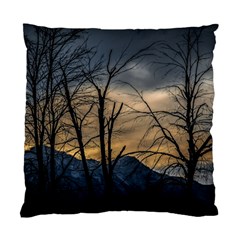 Tree Silhouette At Border Of Nahuel Haupi Lake, Rio Negro, Argentina Standard Cushion Case (one Side)