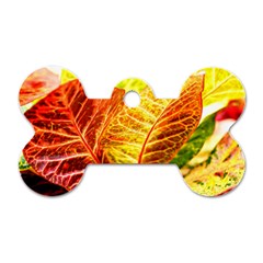 Leaves Plant Pattern Croton Nature Dog Tag Bone (one Side)