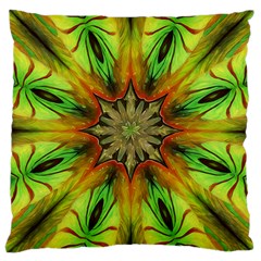 Tempe  Large Cushion Case (two Sides)